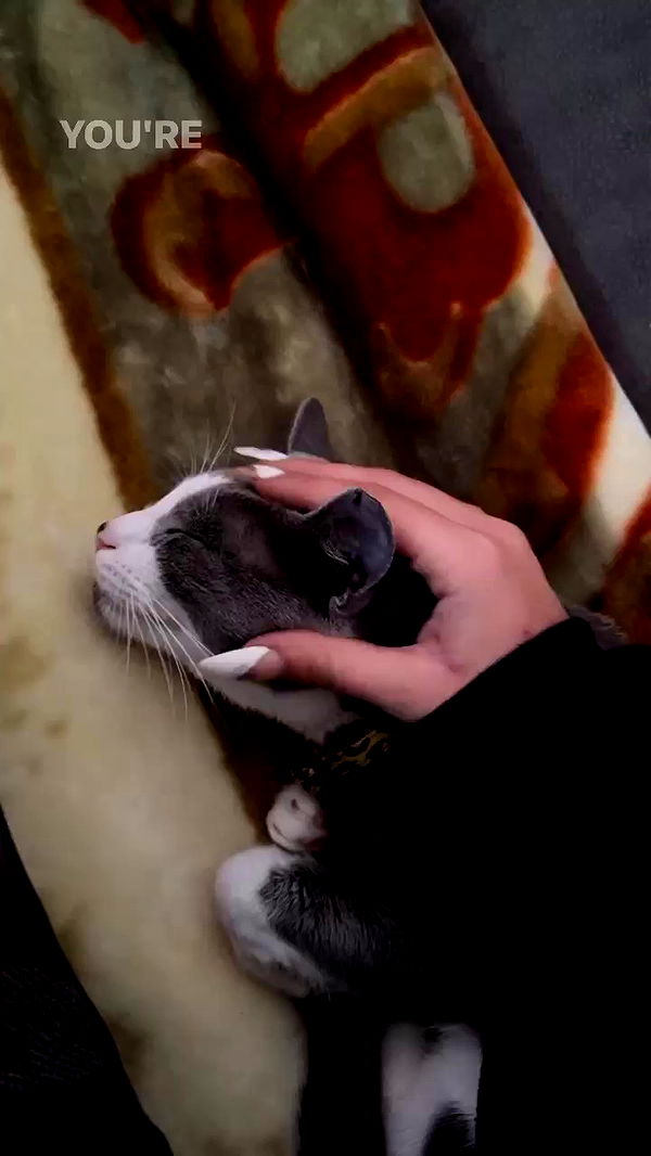 tinapavlov.sky archive video preview