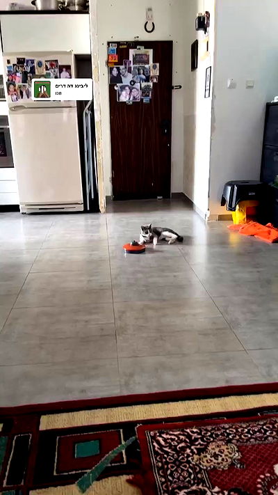 tinapavlov.sky tinapavlov.sky archive video