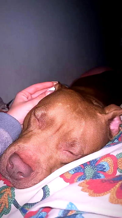 tinapavlov.sky tinapavlov.sky archive video