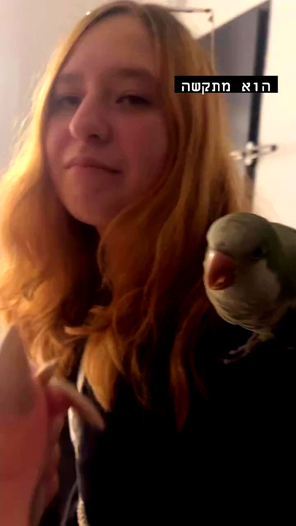 tinapavlov.sky archive video preview