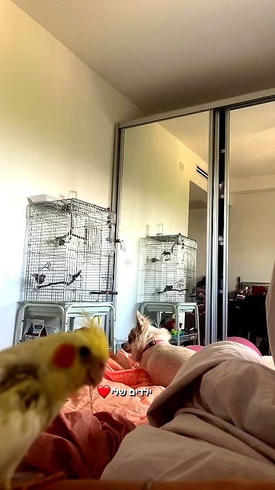 tinapavlov.sky tinapavlov.sky archive video