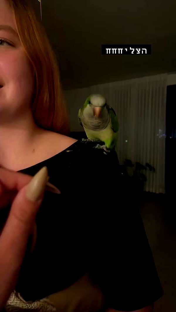 tinapavlov.sky archive video preview