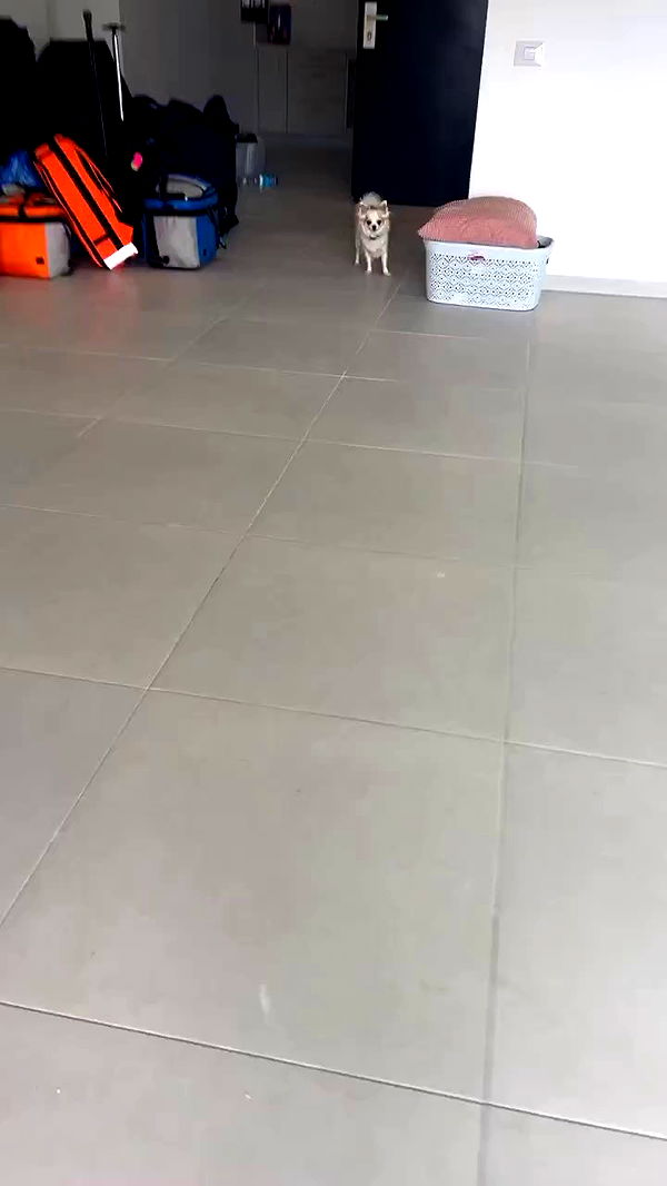 tinapavlov.sky archive video preview