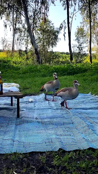 tinapavlov.sky tinapavlov.sky archive video