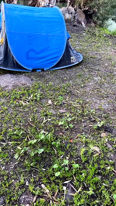 tinapavlov.sky tinapavlov.sky archive video