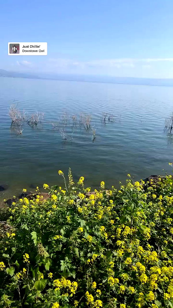 tinapavlov.sky archive video preview