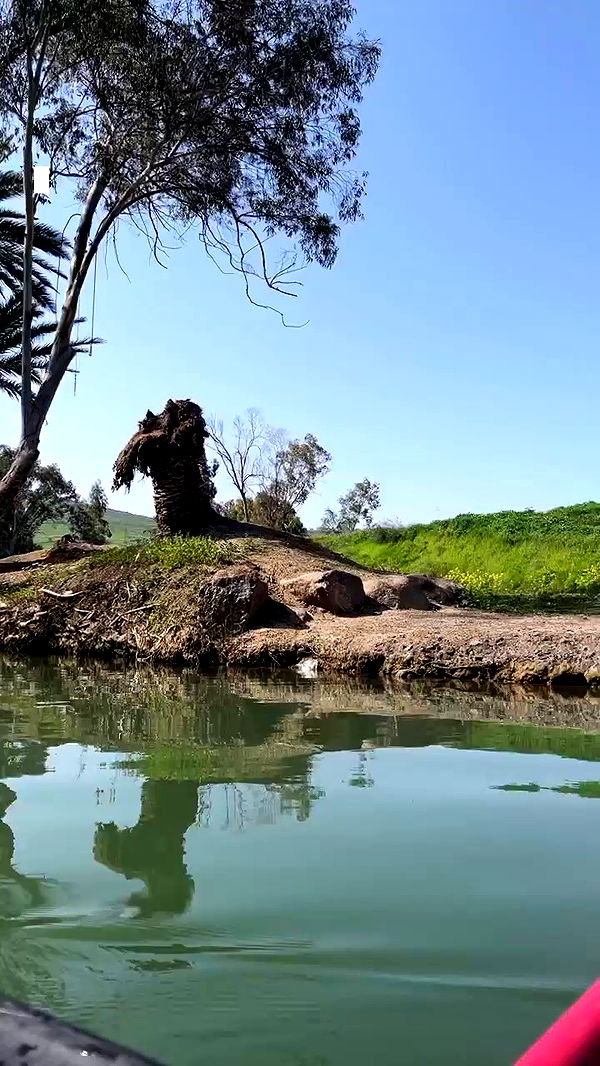 tinapavlov.sky archive video preview