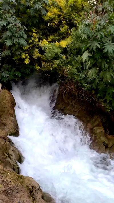 tinapavlov.sky tinapavlov.sky archive video