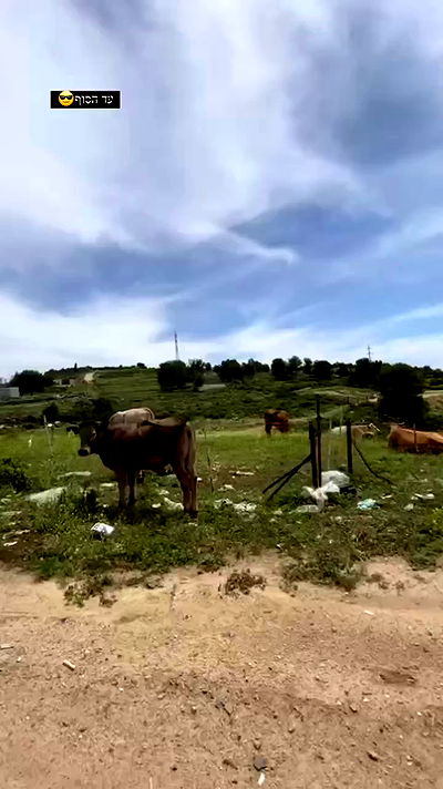 tinapavlov.sky tinapavlov.sky archive video