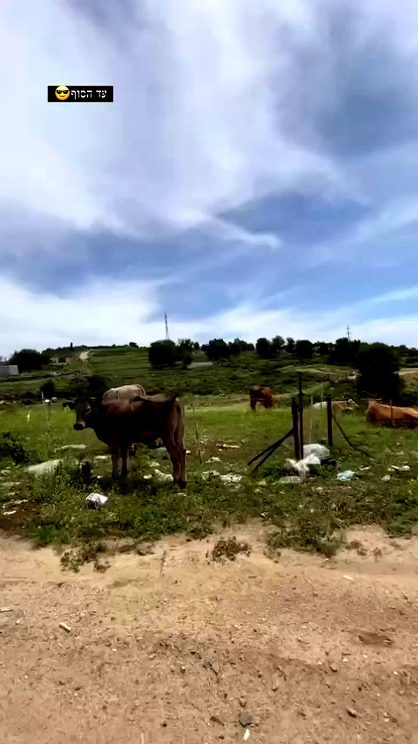 tinapavlov.sky archive video preview