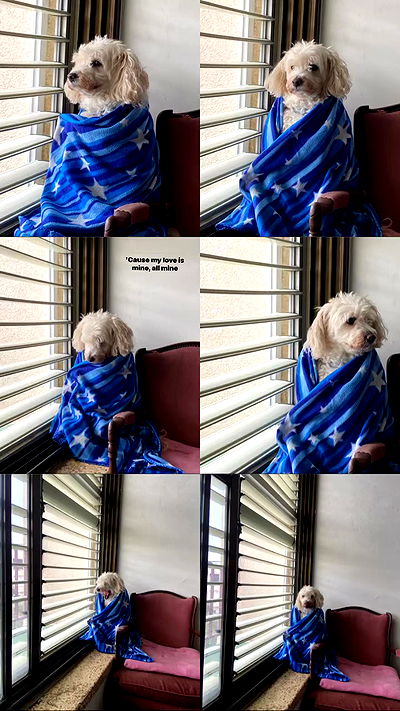 feelbetterinmysweater feelbetterinmysweater archive video