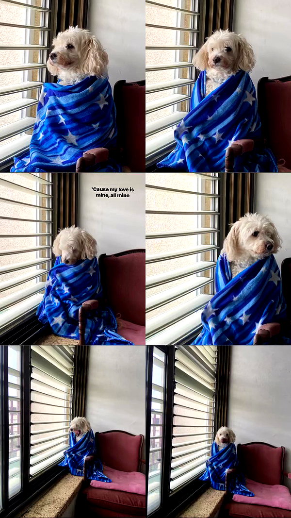 feelbetterinmysweater archive video preview