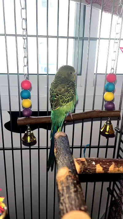 tinapavlov.sky tinapavlov.sky archive video