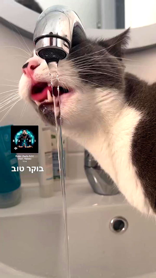 tinapavlov.sky archive video preview