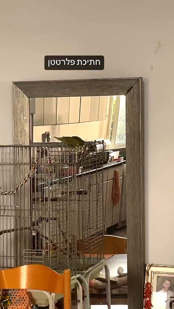 tinapavlov.sky archive video preview