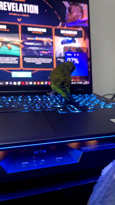 tinapavlov.sky tinapavlov.sky archive video