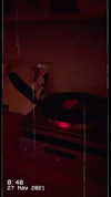 roni_ackerman Altpins Profile Picture