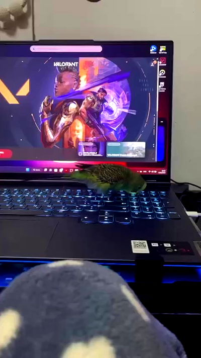 tinapavlov.sky tinapavlov.sky archive video