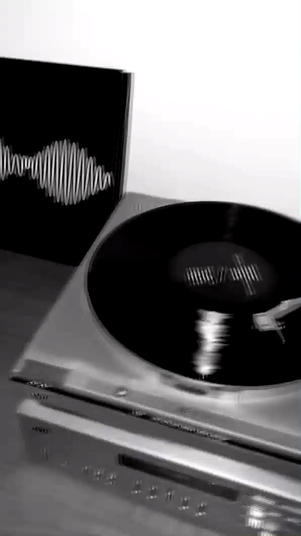 roni_ackerman archive video preview