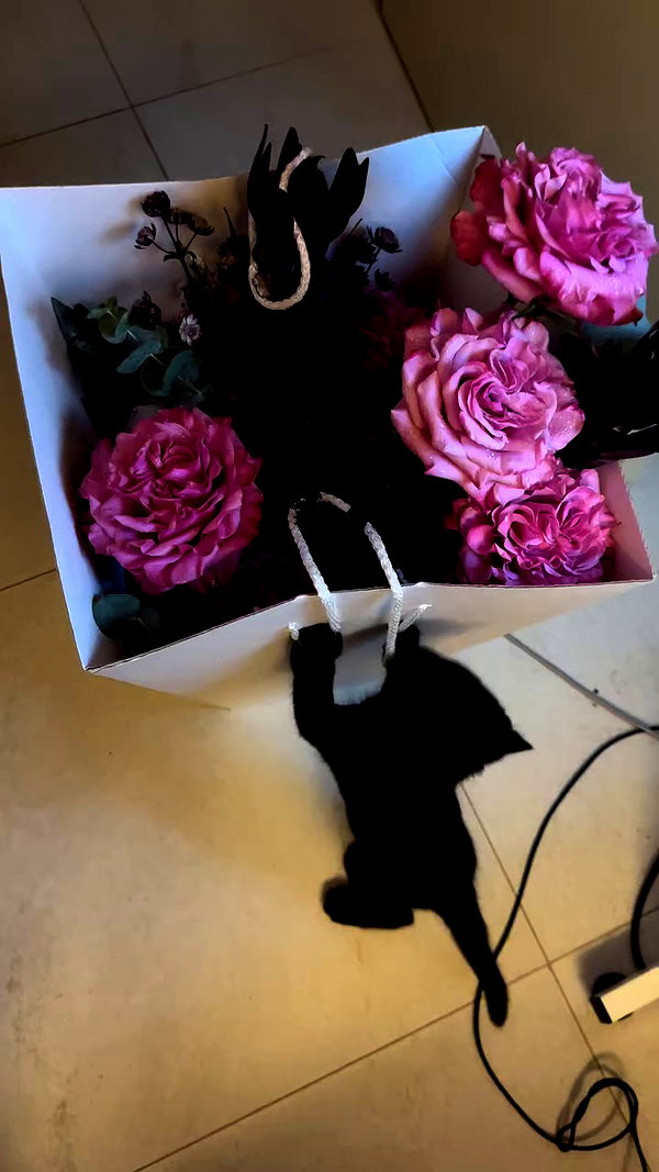 miss_baby007 archive video preview
