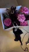 miss_baby007 Altpins Profile Picture