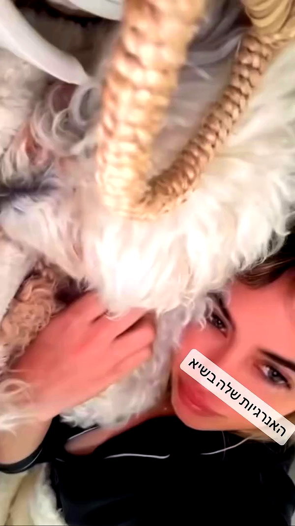 ella_avital08 archive video preview