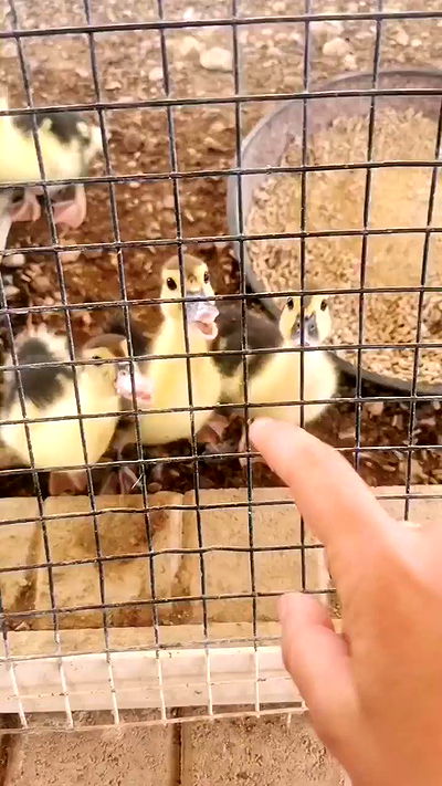 tinapavlov.sky tinapavlov.sky archive video