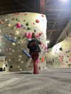 cclaire.bbear1 Altpins Profile Picture