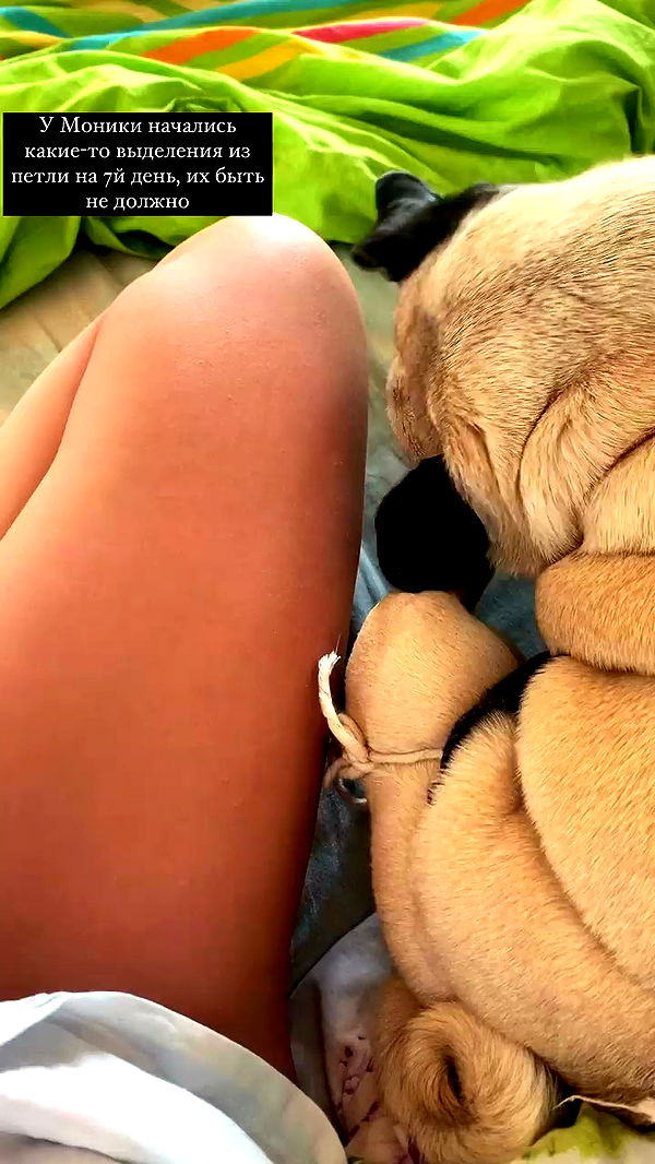 nyityam archive video preview