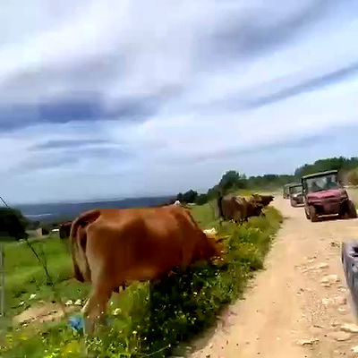 tinapavlov.sky tinapavlov.sky archive video