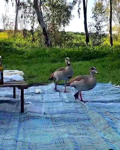 tinapavlov.sky tinapavlov.sky archive video