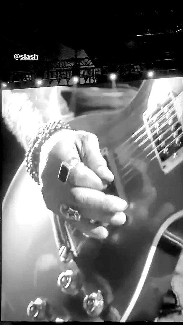 roni_ackerman archive video preview