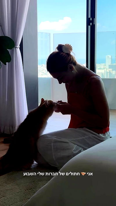 justlerman justlerman archive video