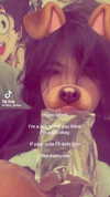 iljfgigi Altpins Profile Picture