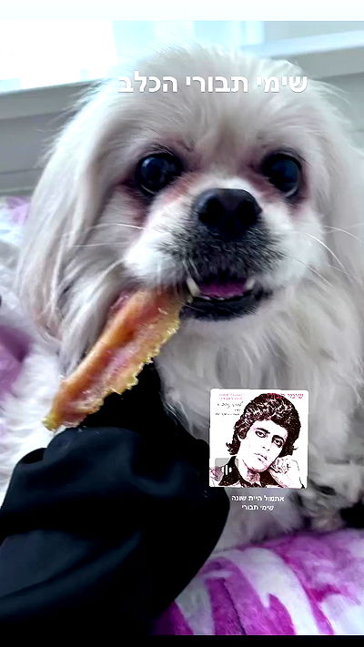 hellokittyangel666 hellokittyangel666 archive video