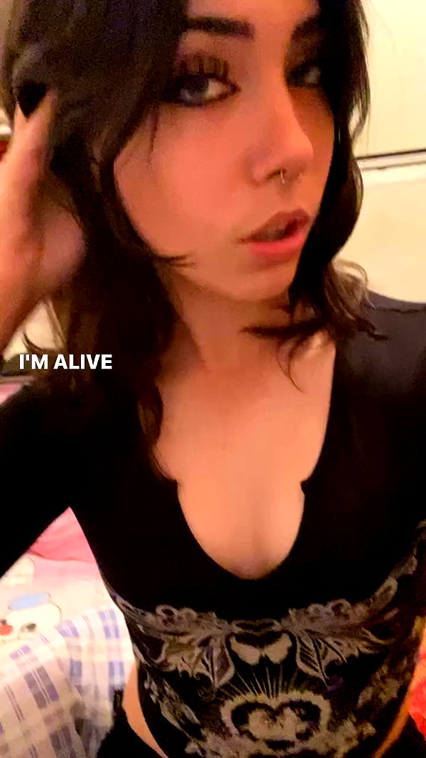 avitallllllll archive video preview