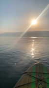 verymuchalma Altpins Profile Picture