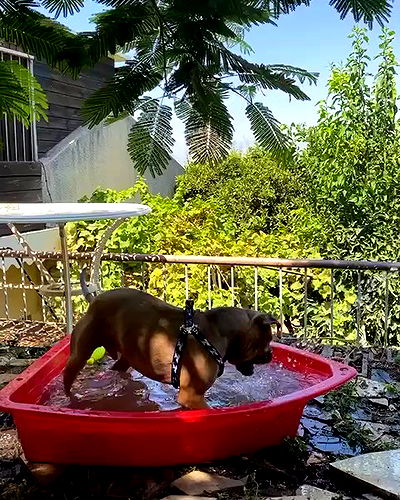 kesemgreenyer kesemgreenyer archive video