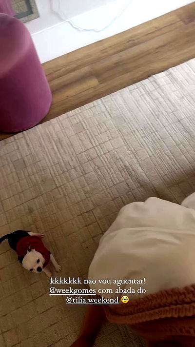 tiliaoficial tiliaoficial archive video