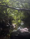 juneeberri Altpins Profile Picture