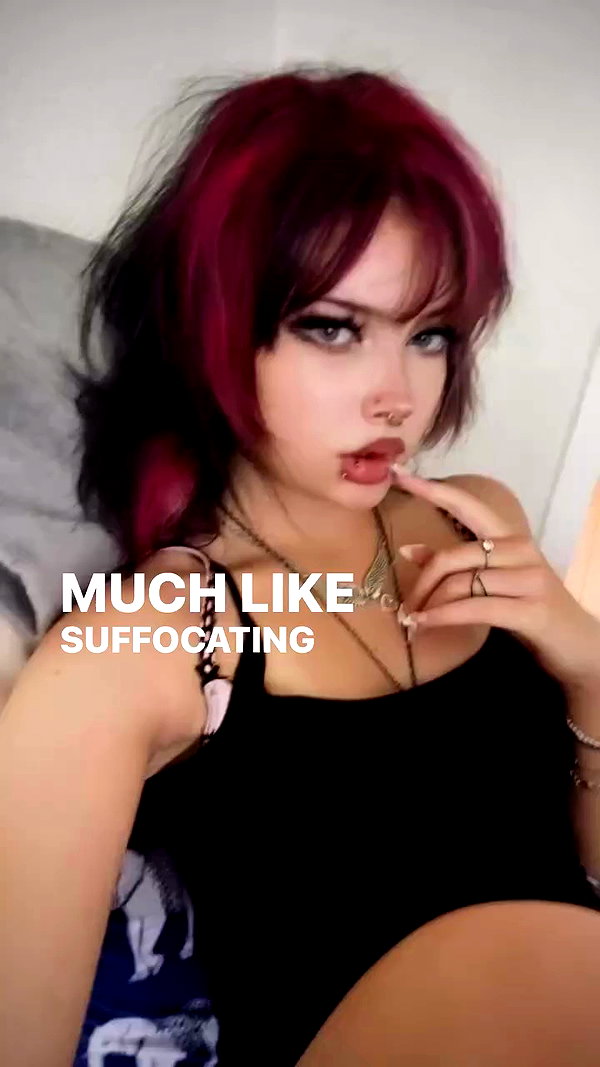 pawxai archive video preview