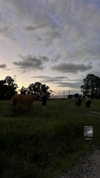 kaaylaa091 Altpins Profile Picture