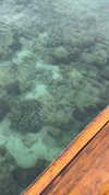 linzor Altpins Profile Picture