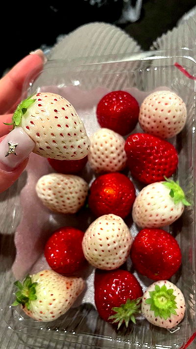 neomiconrad neomiconrad archive video