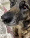 emily_new2 Altpins Profile Picture