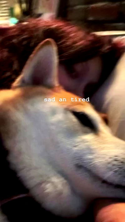 zommmbri zommmbri archive video