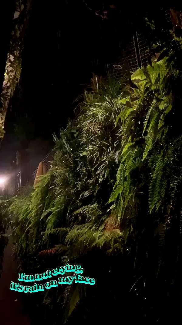 avitallllllll archive video preview