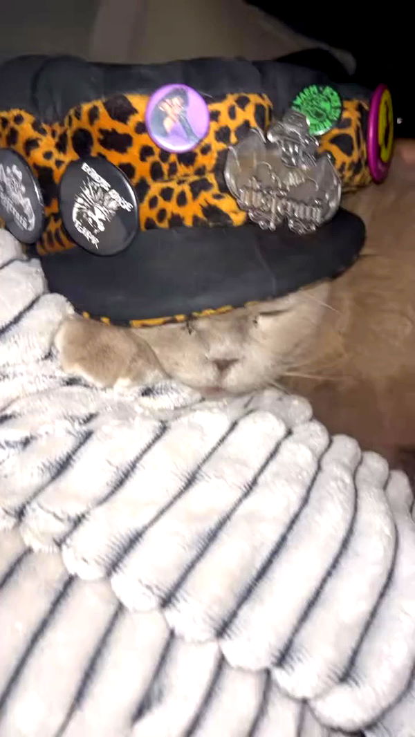 hellokittyangel666 archive video preview