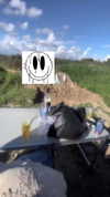 avitallllllll Altpins Profile Picture