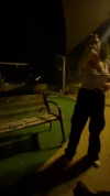 avitallllllll Altpins Profile Picture
